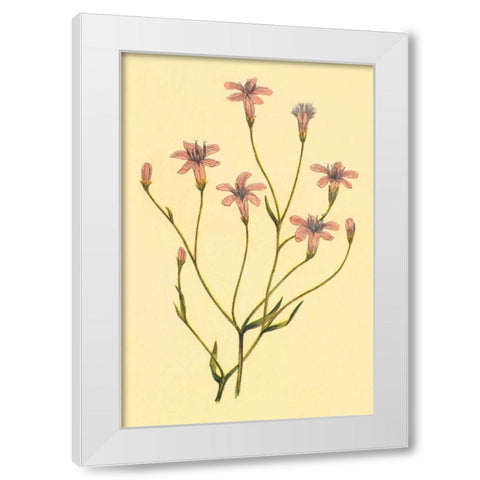 Wheelers Chaetadelpha White Modern Wood Framed Art Print by PI Collection