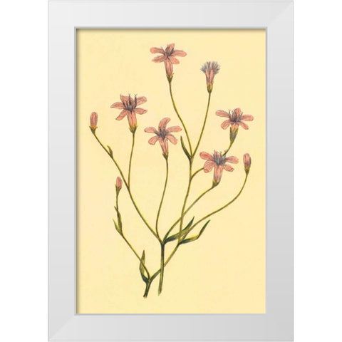Wheelers Chaetadelpha White Modern Wood Framed Art Print by PI Collection