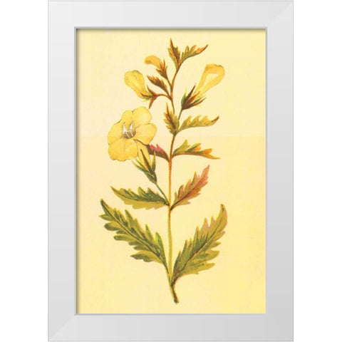 Yellow Fox Glove White Modern Wood Framed Art Print by PI Collection