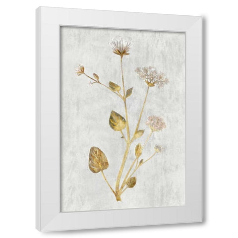 Abronia Turbinata White Modern Wood Framed Art Print by PI Collection
