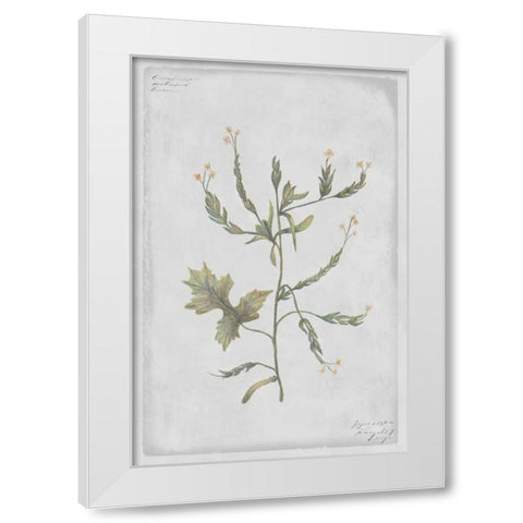 Hedge Mustard White Modern Wood Framed Art Print by PI Collection