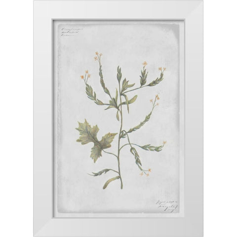 Hedge Mustard White Modern Wood Framed Art Print by PI Collection