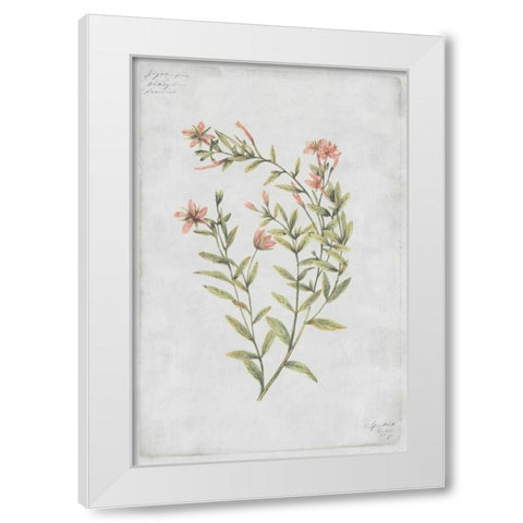 Buds Vol. IV Tav White Modern Wood Framed Art Print by PI Collection