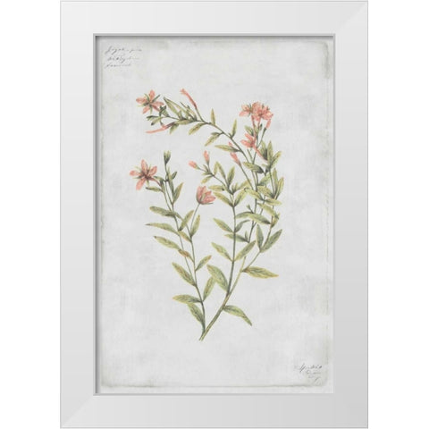 Buds Vol. IV Tav White Modern Wood Framed Art Print by PI Collection