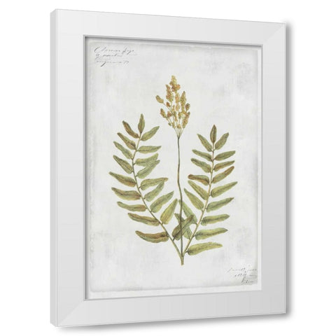 Flowering Fern Stem White Modern Wood Framed Art Print by PI Collection
