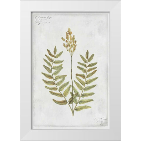 Flowering Fern Stem White Modern Wood Framed Art Print by PI Collection