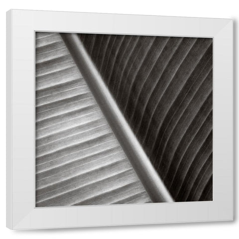 Pam Leaves II White Modern Wood Framed Art Print by Cotter, Rick