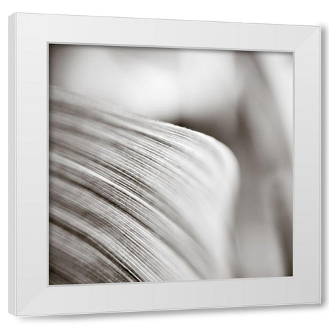 Wave Leaf III White Modern Wood Framed Art Print by Cotter, Rick