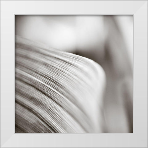 Wave Leaf III White Modern Wood Framed Art Print by Cotter, Rick