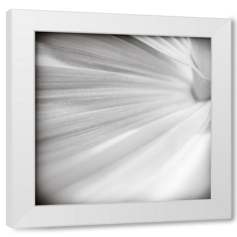 Wave Leaf IV White Modern Wood Framed Art Print by Cotter, Rick