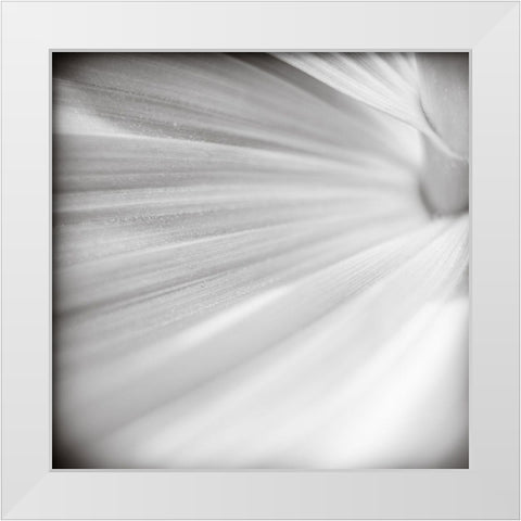 Wave Leaf IV White Modern Wood Framed Art Print by Cotter, Rick