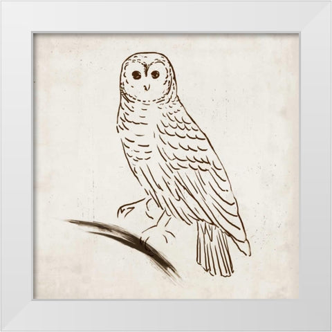 Owl I White Modern Wood Framed Art Print by Reeves, Tom