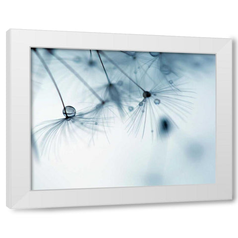 Jewels II White Modern Wood Framed Art Print by Cozart, Rebecca