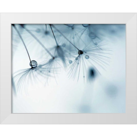 Jewels II White Modern Wood Framed Art Print by Cozart, Rebecca