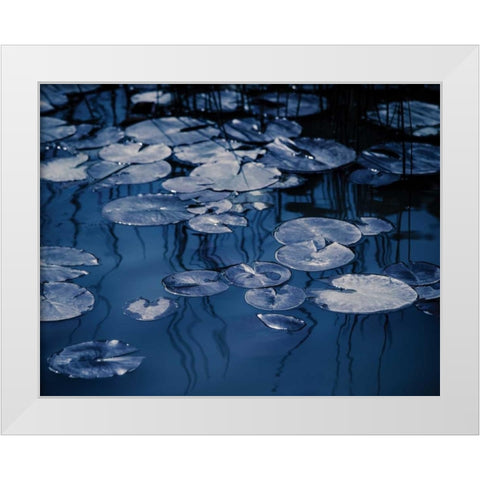 Lilly Pond Blue VII White Modern Wood Framed Art Print by Cozart, Rebecca