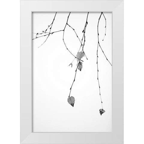 Solo White Modern Wood Framed Art Print by Cozart, Rebecca