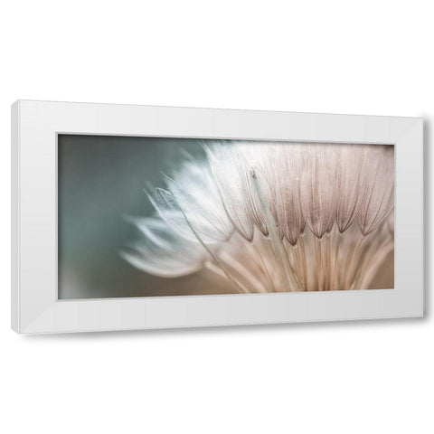 Dalliance I White Modern Wood Framed Art Print by Schenck, Robert