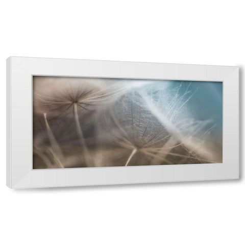 Dalliance II White Modern Wood Framed Art Print by Schenck, Robert