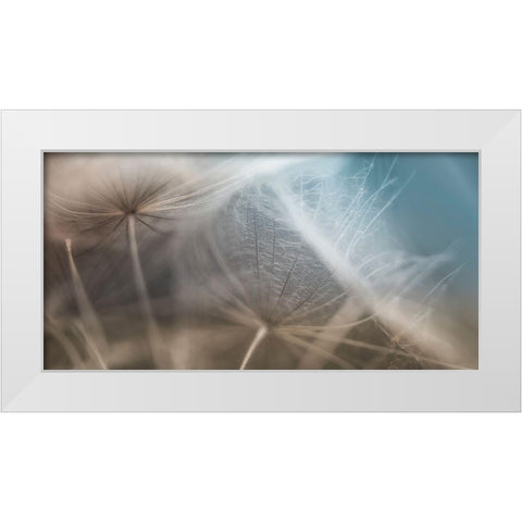 Dalliance II White Modern Wood Framed Art Print by Schenck, Robert