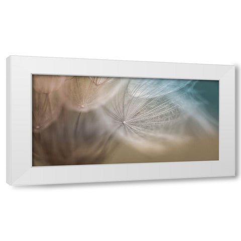 Dalliance III White Modern Wood Framed Art Print by Schenck, Robert