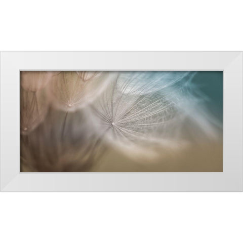 Dalliance III White Modern Wood Framed Art Print by Schenck, Robert