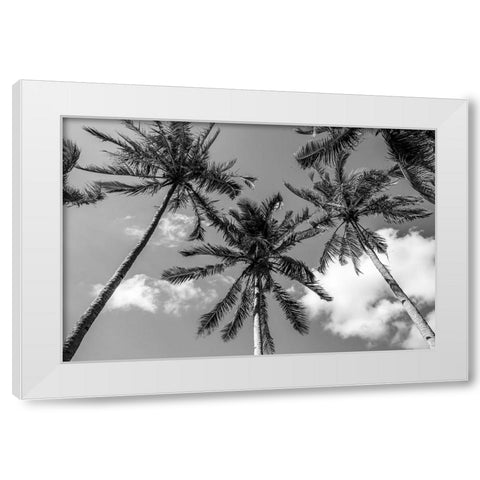 California Palms II White Modern Wood Framed Art Print by Silver, Richard