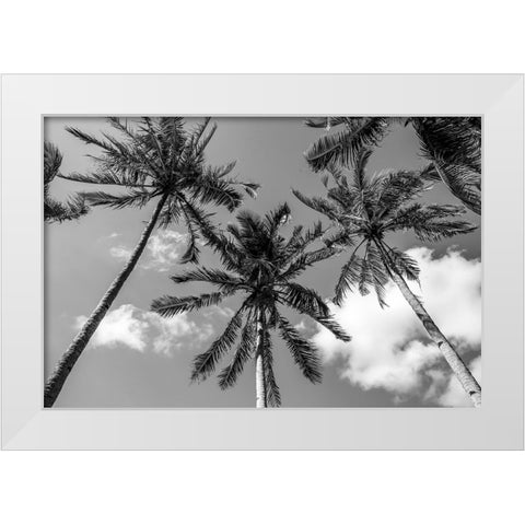 California Palms II White Modern Wood Framed Art Print by Silver, Richard