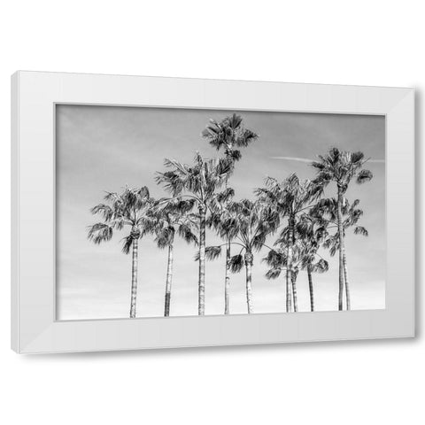 California Palms III White Modern Wood Framed Art Print by Silver, Richard