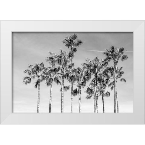 California Palms III White Modern Wood Framed Art Print by Silver, Richard
