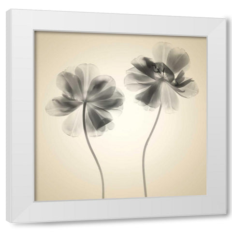 Soft I White Modern Wood Framed Art Print by Stalus, Judy