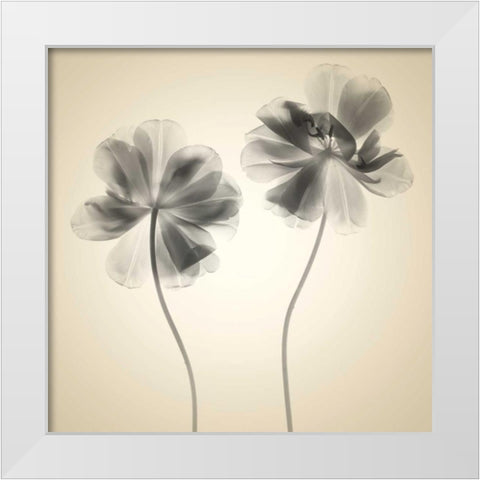 Soft I White Modern Wood Framed Art Print by Stalus, Judy