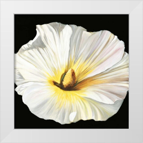White Bloom II White Modern Wood Framed Art Print by Iafrate, Sandra