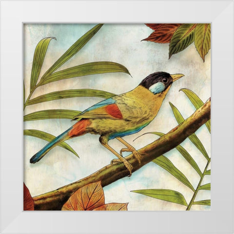 Jungle Bird I White Modern Wood Framed Art Print by Selkirk, Edward