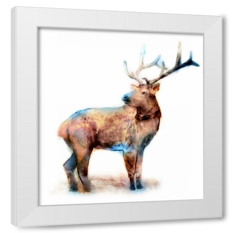 Elk White Modern Wood Framed Art Print by Selkirk, Edward