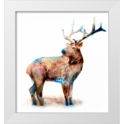 Elk White Modern Wood Framed Art Print by Selkirk, Edward