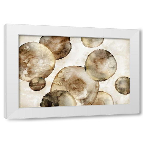 Tree Rings White Modern Wood Framed Art Print by Selkirk, Edward