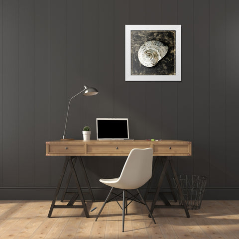 Marble Shell Series II White Modern Wood Framed Art Print by Selkirk, Edward