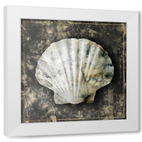 Marble Shell Series IV White Modern Wood Framed Art Print by Selkirk, Edward