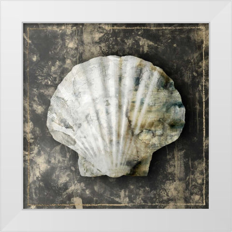 Marble Shell Series IV White Modern Wood Framed Art Print by Selkirk, Edward