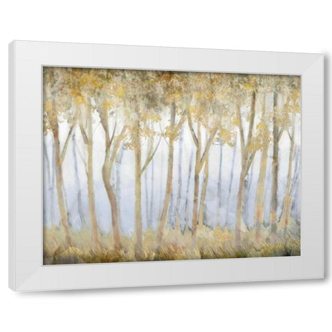 Rush to Gold White Modern Wood Framed Art Print by Selkirk, Edward