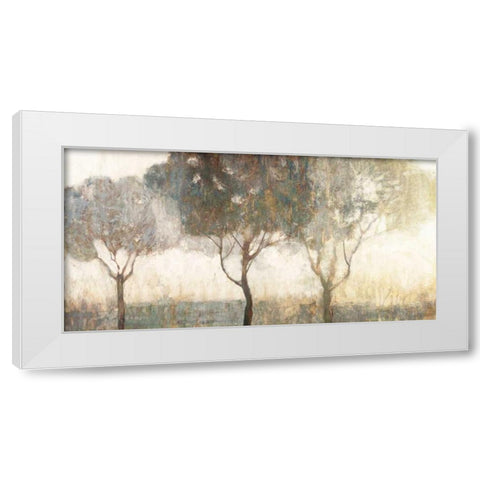 Dawn White Modern Wood Framed Art Print by Edward Selkirk