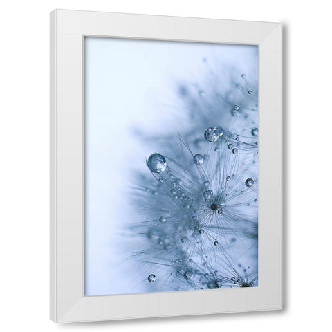 Blue Dandelion White Modern Wood Framed Art Print by Schwartz, Sherstin