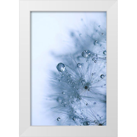 Blue Dandelion White Modern Wood Framed Art Print by Schwartz, Sherstin