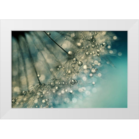 Indigo Sparkles White Modern Wood Framed Art Print by Johnstone, Sharon