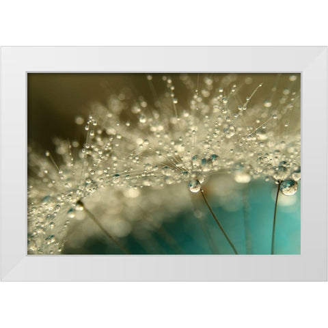 Smoky BlueÂ  White Modern Wood Framed Art Print by Johnstone, Sharon