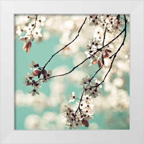 White Blossoms White Modern Wood Framed Art Print by Cook, Sylvia