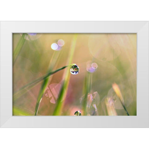 Waterdrop White Modern Wood Framed Art Print by Cook, Sylvia