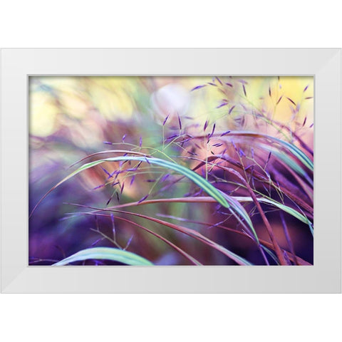 Purple grass White Modern Wood Framed Art Print by Cook, Sylvia