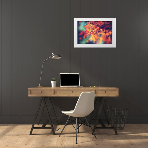 Fall Leaves White Modern Wood Framed Art Print by Cook, Sylvia