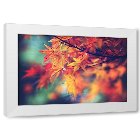 Fall Leaves White Modern Wood Framed Art Print by Cook, Sylvia